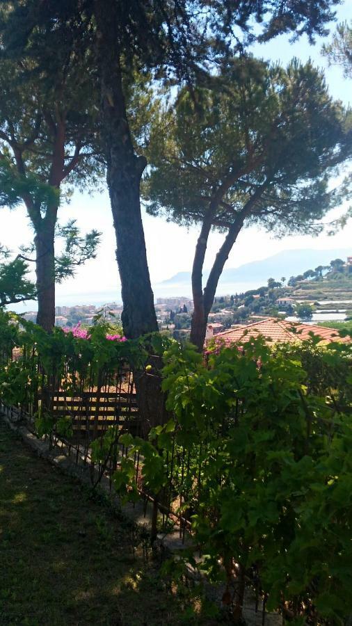 Bed and Breakfast Le Gardenie da Fil à Bordighera Extérieur photo